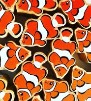 Sealife