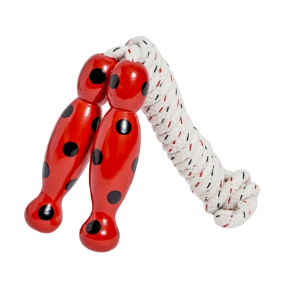 Ladybird skipping rope