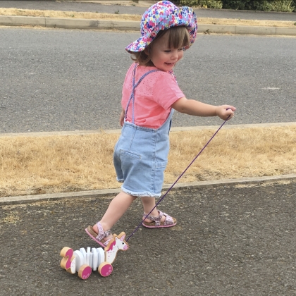 Unicorn pull along