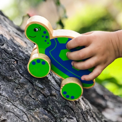 Wooden turtle push along toy