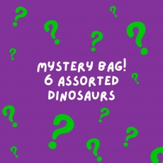Mystery bag - 6 assorted dinosaurs *Imperfect* Mystery bag - 6 assorted dinosaurs *Imperfect*