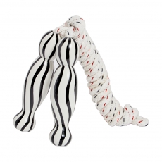 Zebra skipping rope Zebra skipping rope