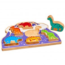 Wooden dinosaur shape sorter puzzle