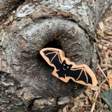 Natural black bat