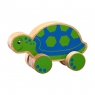 Chunky natural wood blue and green turtle on wheels push along
