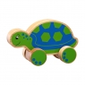 Wooden turtle push along toy