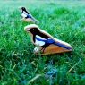 A chunky wooden magpie toy figure in the grass