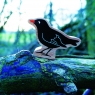 A chunky wooden blackbird toy figure on a branch in the woods